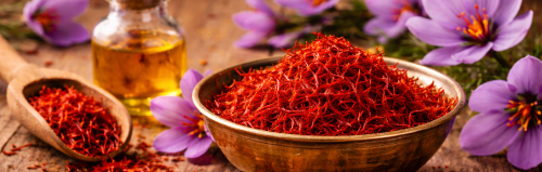 Saffron – golden spice