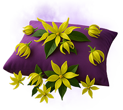 Giovani YLANG-YLANG Scented fabric softener